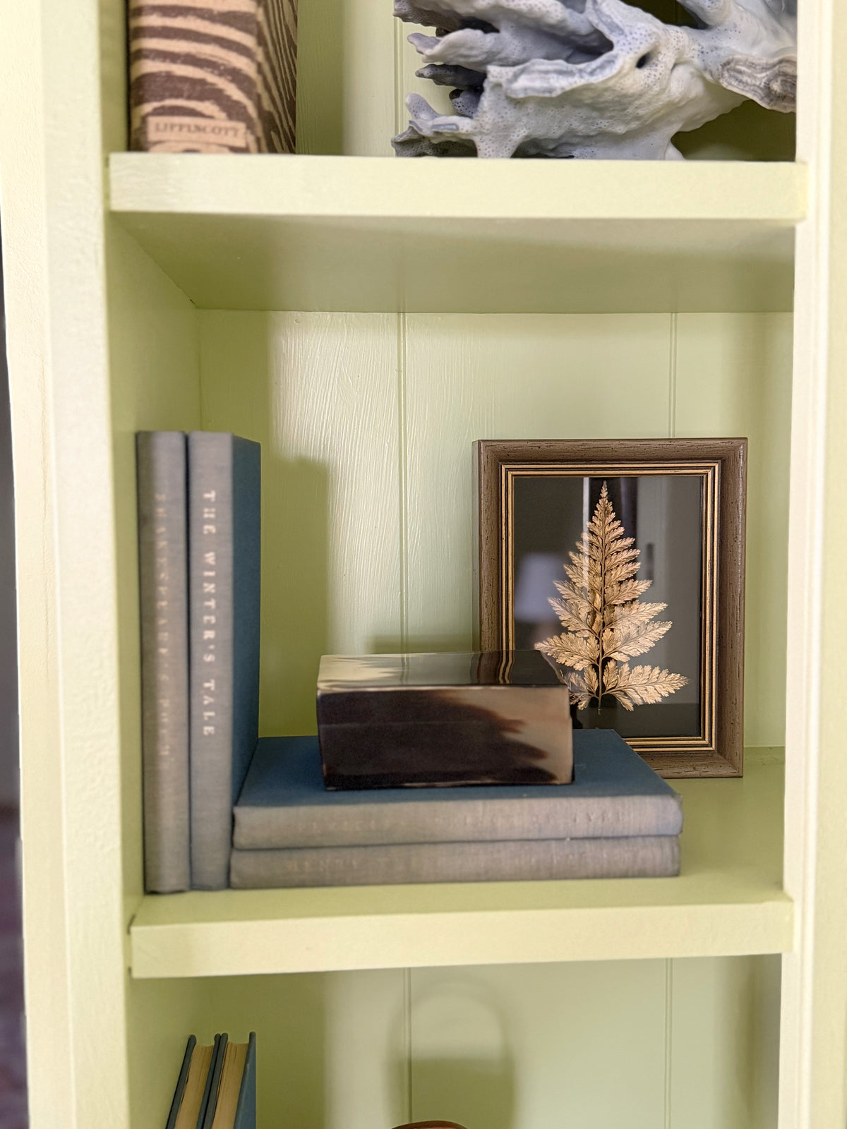 Framed Preserved Metal Plant