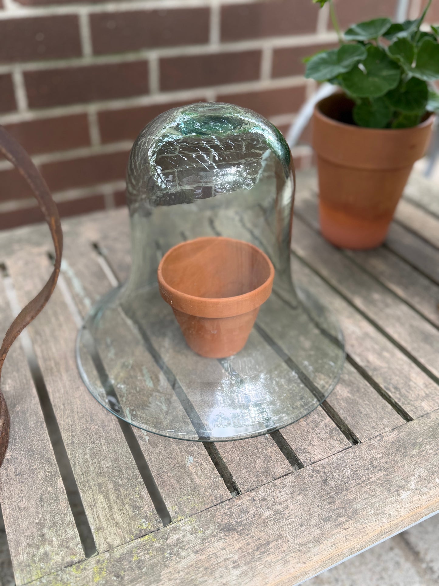 Vintage Glass Cloche, Small
