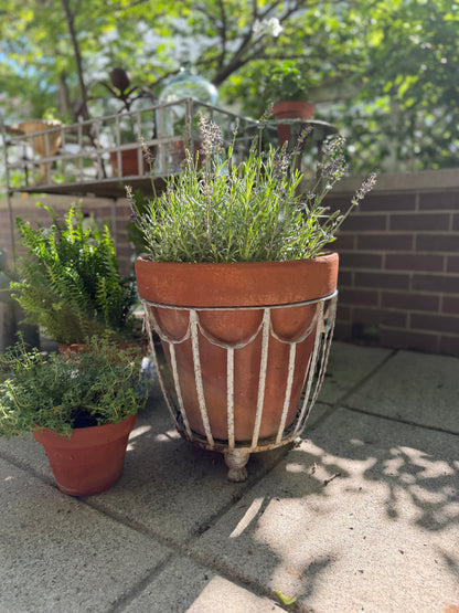 Wrought Iron Planter