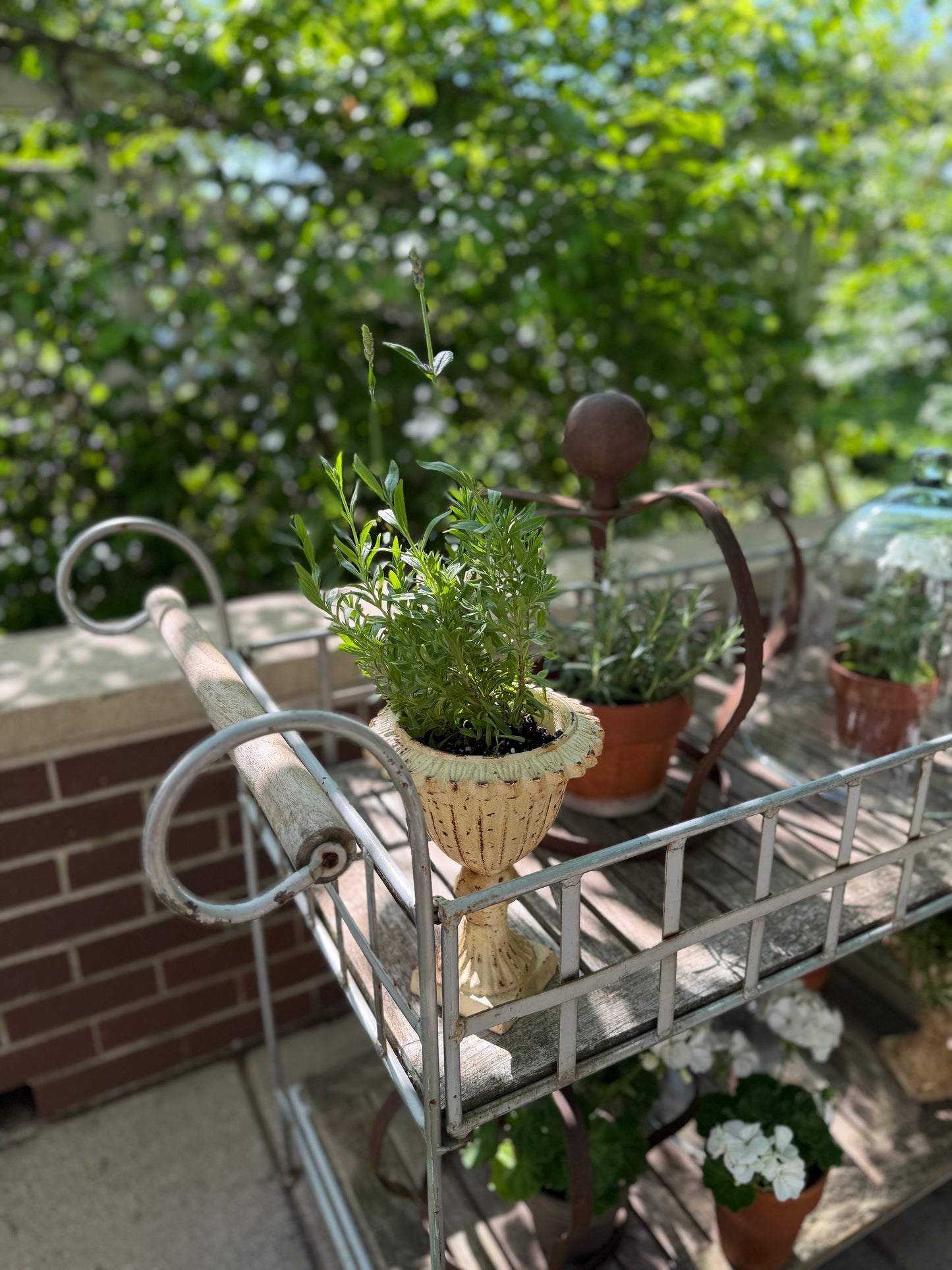 Cast Iron Urn, 2 available