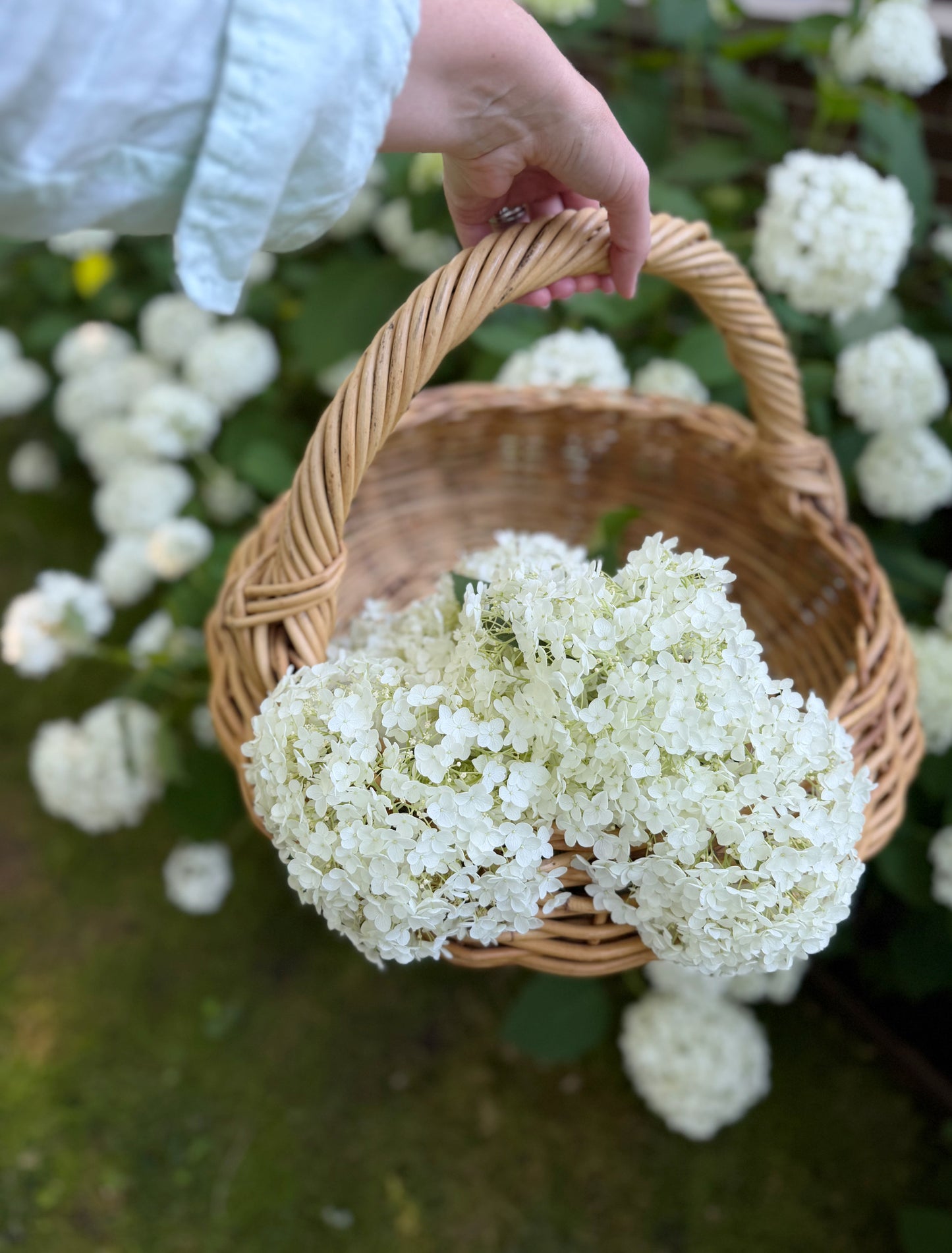 Woven Garden Gathering Basket