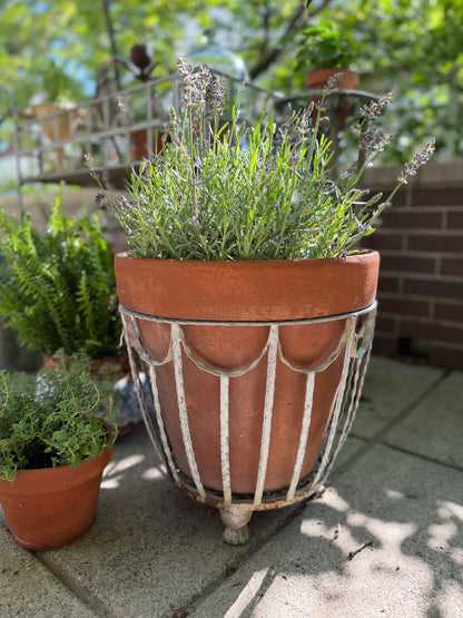 Wrought Iron Planter
