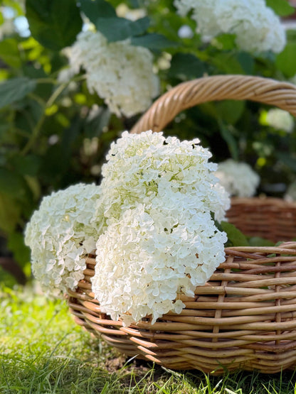 Woven Garden Gathering Basket