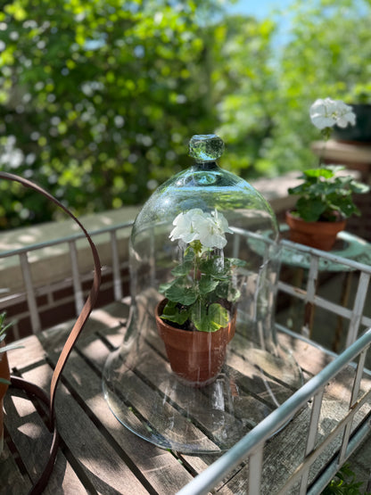 Antique Glass Cloche, Large