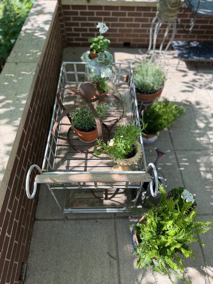 French Flower Cart