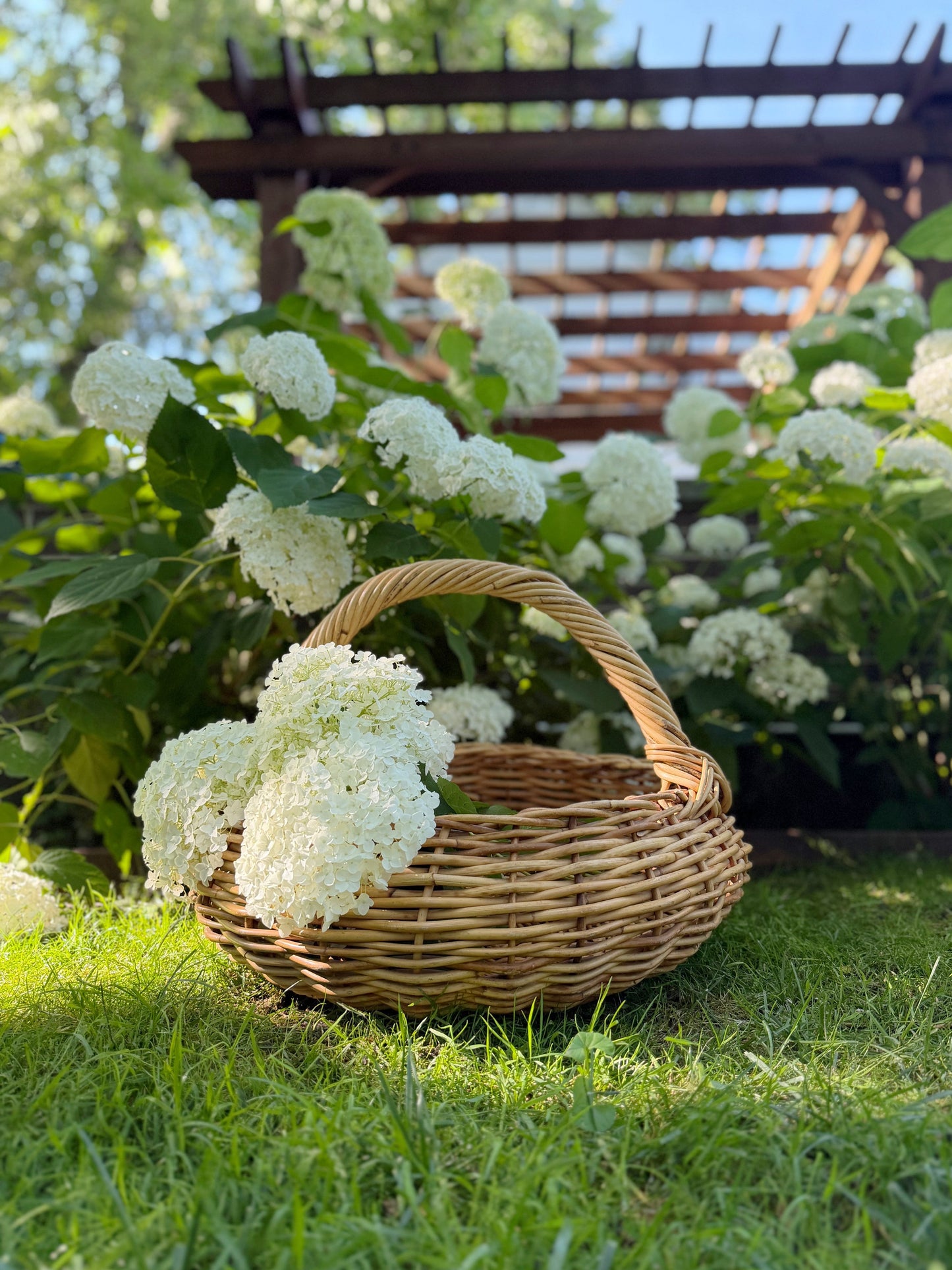 Woven Garden Gathering Basket
