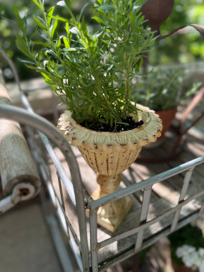 Cast Iron Urn, 2 available