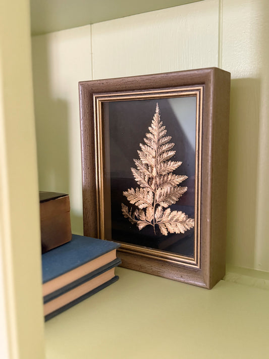 Framed Preserved Metal Plant